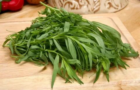 تصویر 1 از فروش ویژه سبزی ترخون خشک + ارسال سراسری